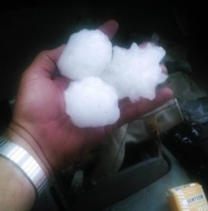 hail storm orchard 7-25-2014